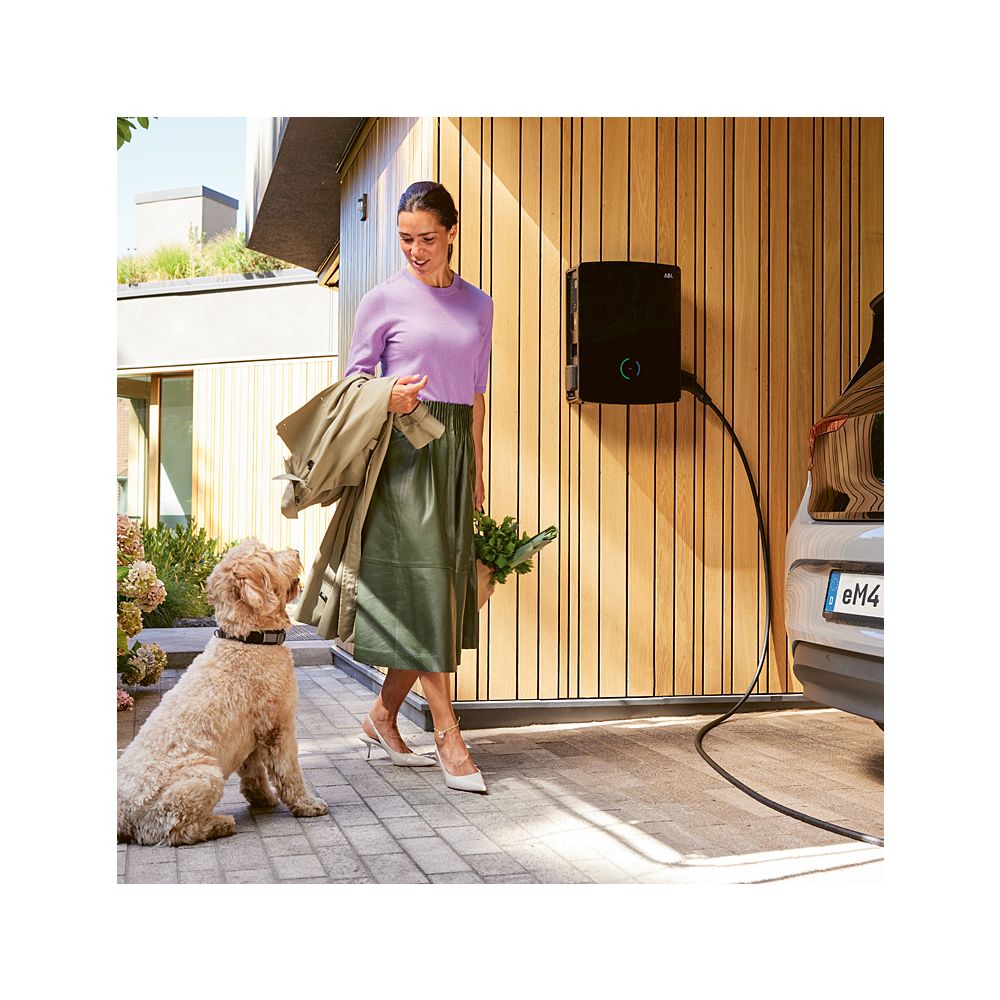 ABL Wallbox eM4 Twin reev ready Extender, 22kW, 516x428x145mm, Kunststoff... ABL-100000183 4011721191447 (Abb. 4)