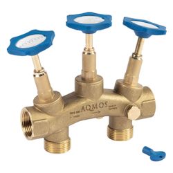 Aqmos Montageblock 1" mit Verschneidung, Bypass und Probeentnahmehahn... AQMOS- AQMB-1  (Abb. 1)