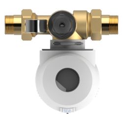Aqmos Rückspülfilter mit Druckminderer und Manometer G 1"... AQMOS-AQ-AQ-RF-1 4260699890016 (Abb. 1)