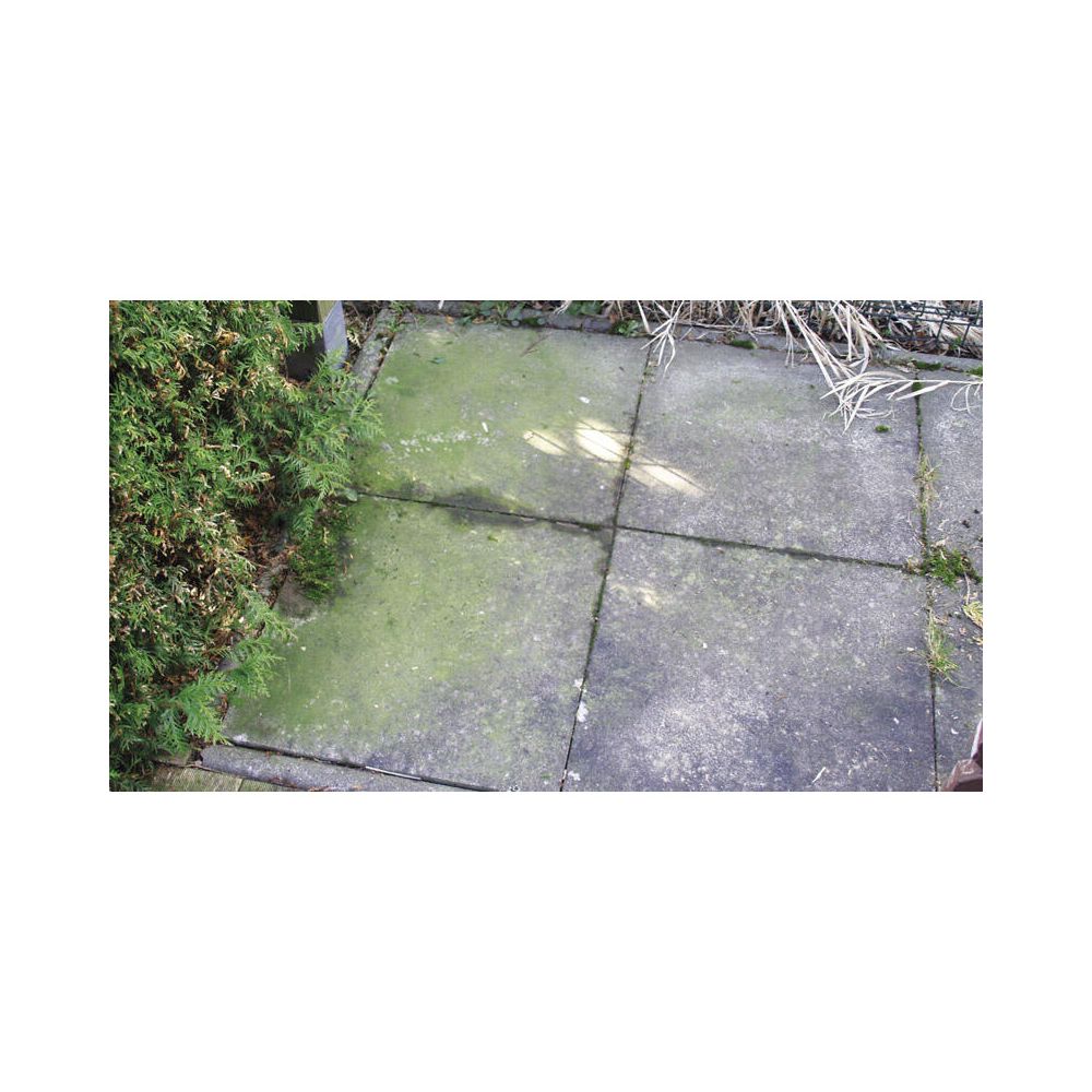 beko  Grünbelagentferner TecLine 299121000, 1.000ml... BEKO-299121000 4036421299439 (Abb. 2)