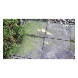 beko  Grünbelagentferner TecLine 299121000, 1.000ml... BEKO-299121000 4036421299439 (Abb. 1)