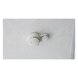 beko  Rauchmelder-Prüfgas TecLine, 150ml, 2966150... BEKO-2966150 4036421296094 (Abb. 1)