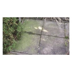 beko  Grünbelagentferner TecLine 299121000, 1.000ml... BEKO-299121000 4036421299439 (Abb. 1)