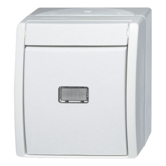 Busch Jäger APWG ocean Aus Wechsel 2601/6WGL-54 mit Beleuchtung alpinweiss