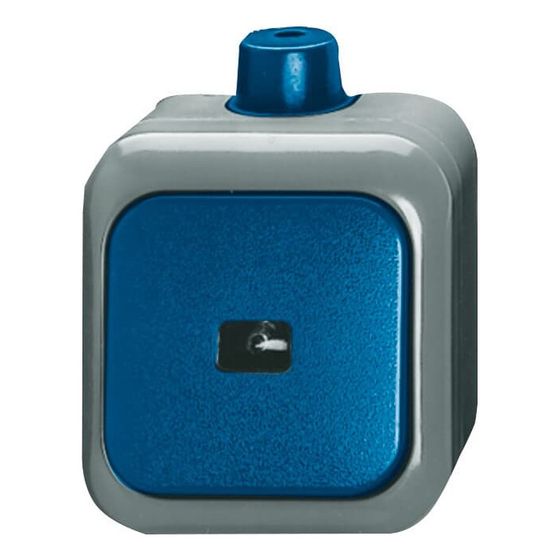 Busch Jäger APWG Duro 2000 WDI Taster 2621WDI 1polig Schliesser mit N-Klemme
