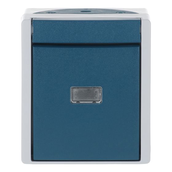 Busch Jäger APWG ocean Taster 2621W-53-206 Wechsler grau/blaugrün 1-polig