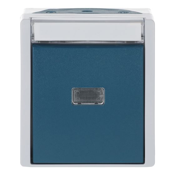 Busch Jäger Wipptaster Schließer 1pol 2621WN-53-201 grau/blaugrün mit Beschriftungsfeld 57,8x9,8mm