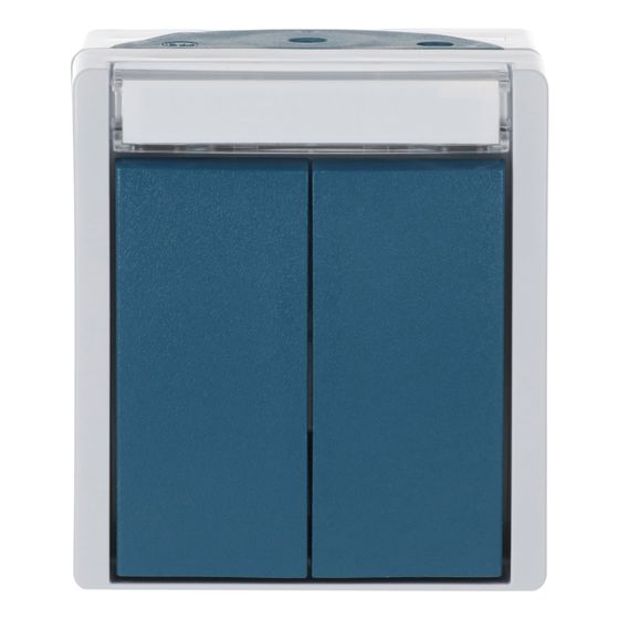 Busch Jäger APWG ocean Doppeltaster 2621WN-53-205-101 grau/blau 2x1-polig