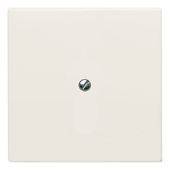 Busch Jäger UPWG Allwetter Blindabdeckung 2138-32 weiss mit Tragring IP44