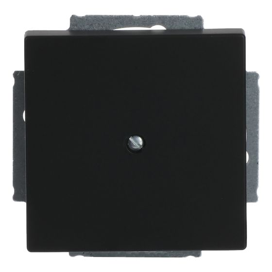 Busch Jäger future linear Blindabdeckung 1742-885 schwarz matt mit Tragring