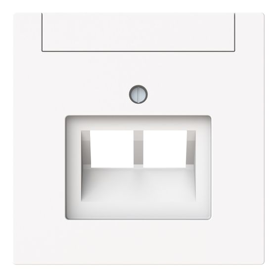 Busch Jäger Zentralscheibe 2-fach UAE 1803-02-44M mit Beschriftungsfeld Busch-art linear