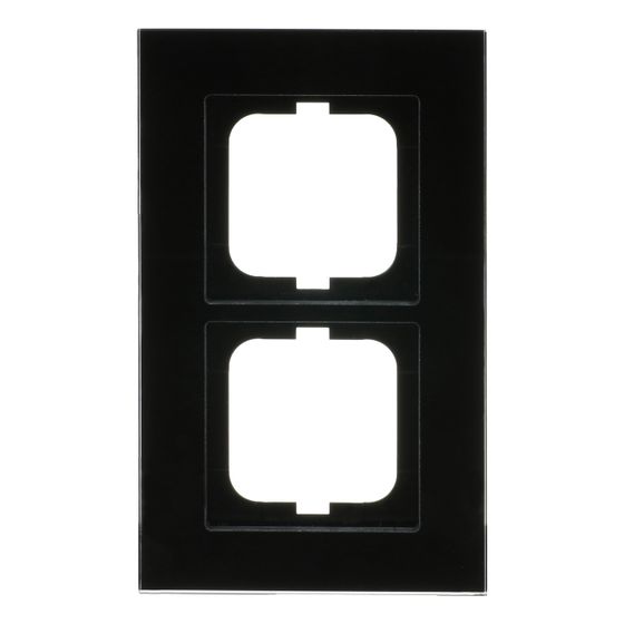 Busch Jäger carat Rahmen 1722-825 2fach Glas schwarz