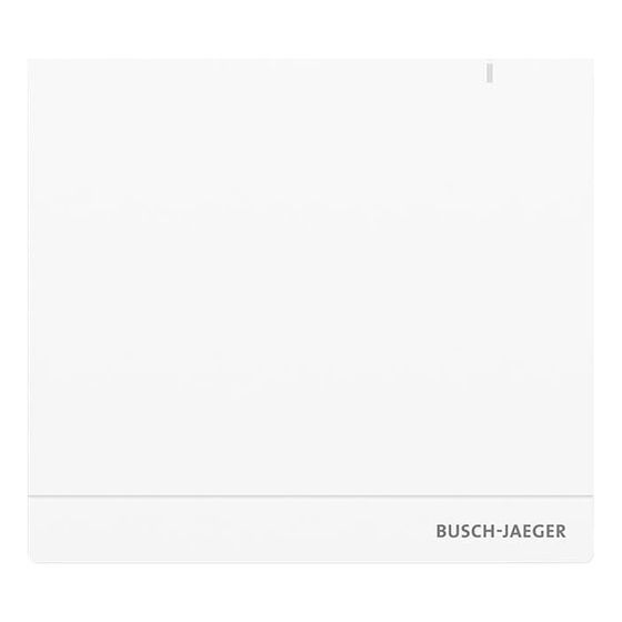 Busch Jäger System Access Point 2.0 SAP/S.13 Busch-free@home