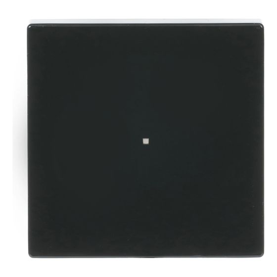 Busch Jäger Wippe 1-fach 6230-10-81 anthrazit