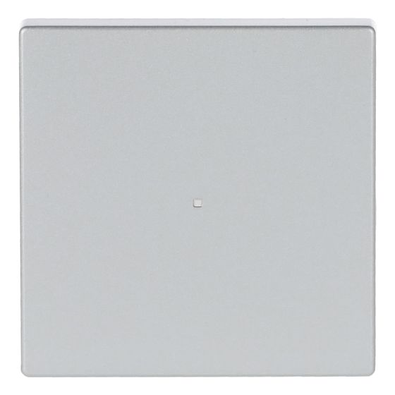 Busch Jäger Wippe 1fach 6230-10-83 alusilber