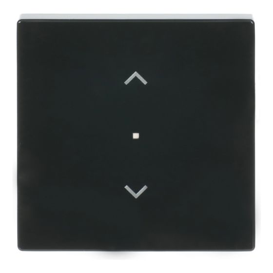 Busch Jäger Wippe 1-fach Symbol 6232-10-81 Jalousie Busch-free@home anthrazit 80x80mm