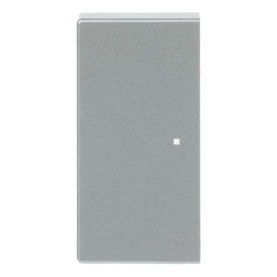 Busch Jäger Wippe 2fach 6230-20-83 alusilber