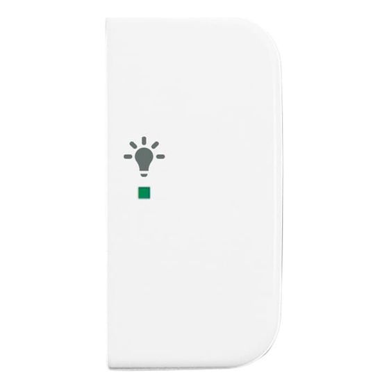 Busch Jäger Wippe 2-fach Symbol Licht 6231-22-214 alpinweiß