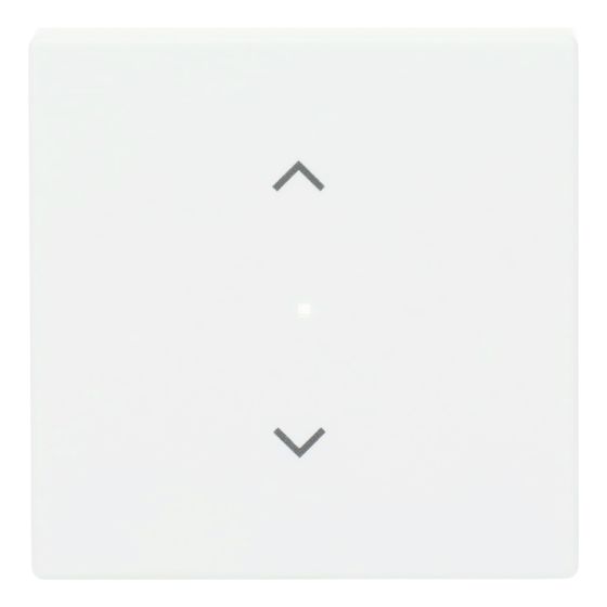 Busch Jäger Wippe 1f Jalousie matt 6232-10-884 sws