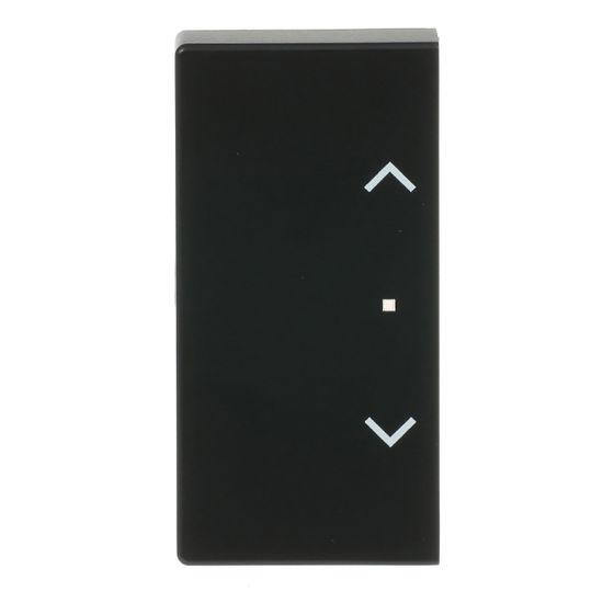 Busch Jäger Wippe 2f Jalousie schwarz 6232-20-885 matt