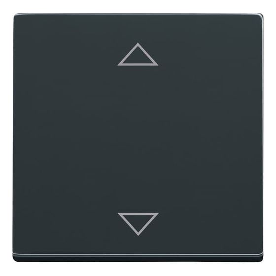 Busch Jäger Bedienelement für Jalousiecontrol II 6430-81-102 anthrazit