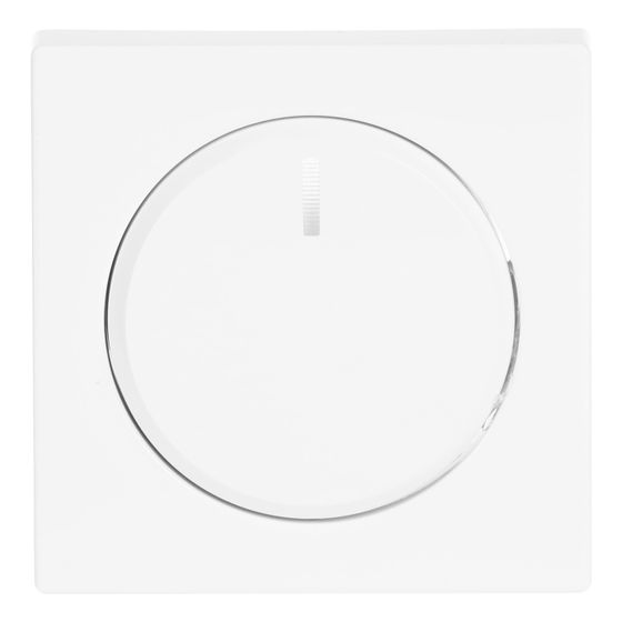 Busch Jäger Zentralscheibe für 6540-84-102 Drehdimmer davos/studioweiß mit Befestigungs-Mutter und Glimmlampe