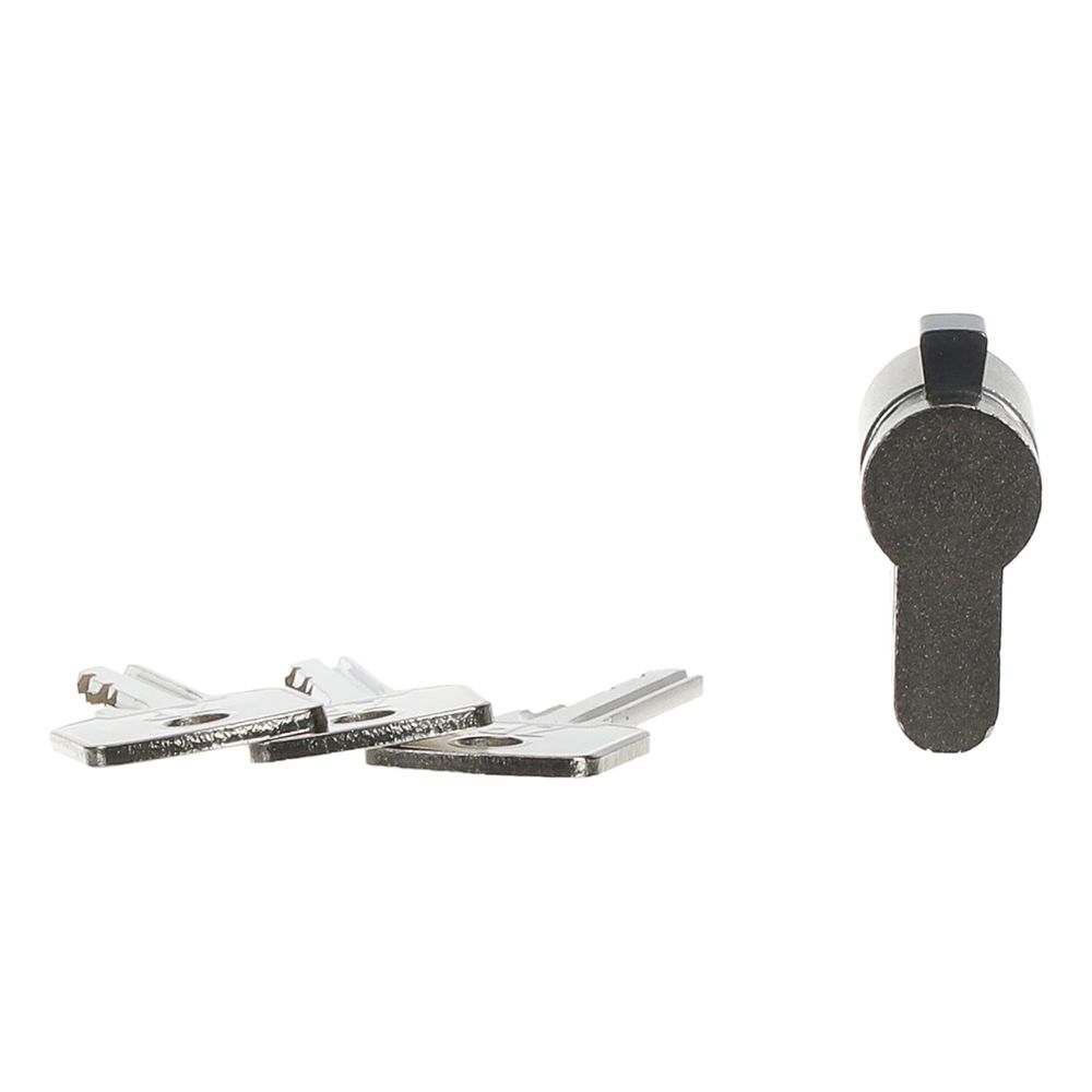 Busch Jäger DIN-Profil-Halbzylinder 0520PZ-VS verschieden schließend 40mm mit 3 Sch... BJ-2CKA000470A0013 4011395668207 (Abb. 4)