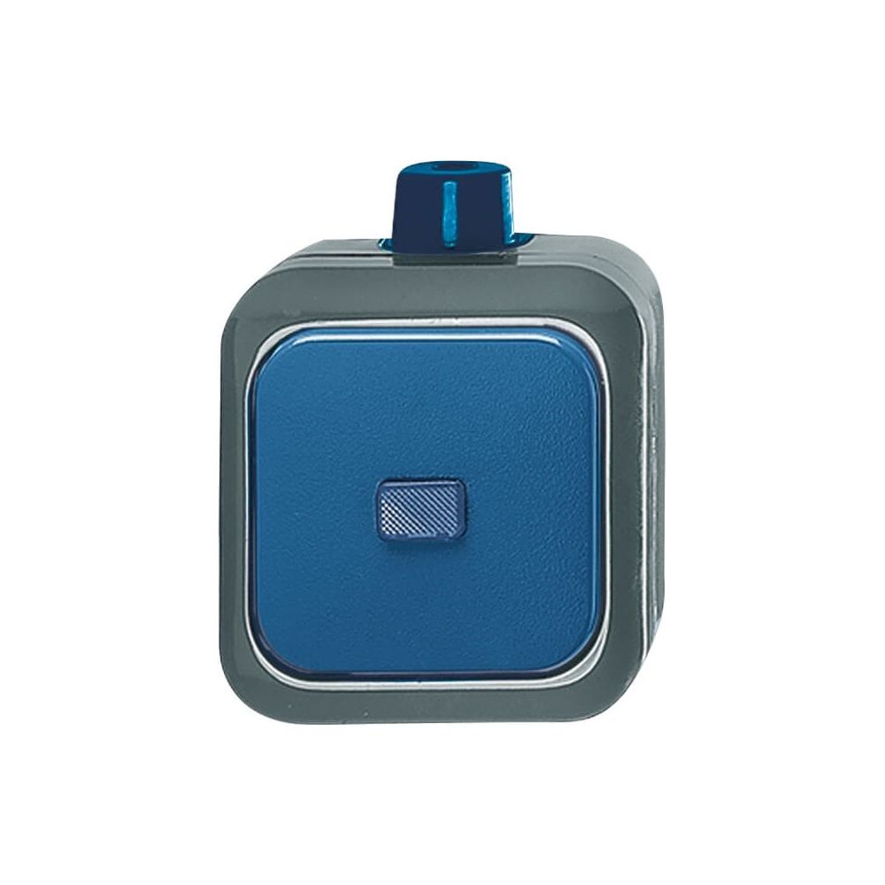 Busch Jäger Wechselschalter AP 2601/6 WDI Duro 2000 grau RAL7010 blau RAL5010... BJ-2CKA001084A0797 4011395026502 (Abb. 1)