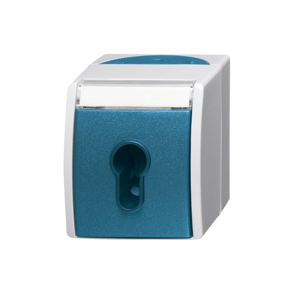 Busch Jäger Schlüsselschalter 2733SLW-53 1polig grau/blaugrün für Profilhalbzylinde... BJ-2CKA001101A0917 4011395992708 (Abb. 1)