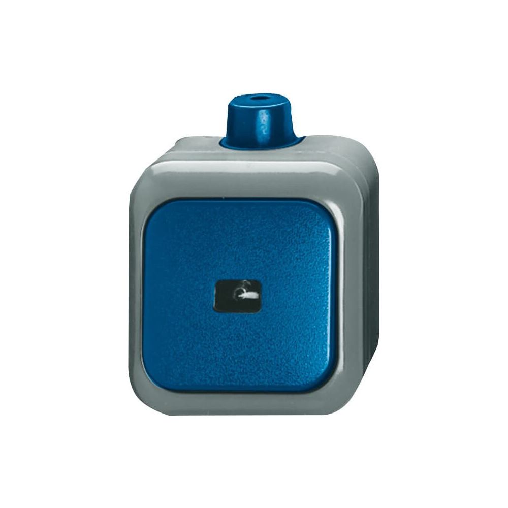 Busch Jäger APWG Duro 2000 WDI Taster 2621WDI 1polig Schliesser mit N-Klemme... BJ-2CKA001483A0171 4011395056004 (Abb. 1)