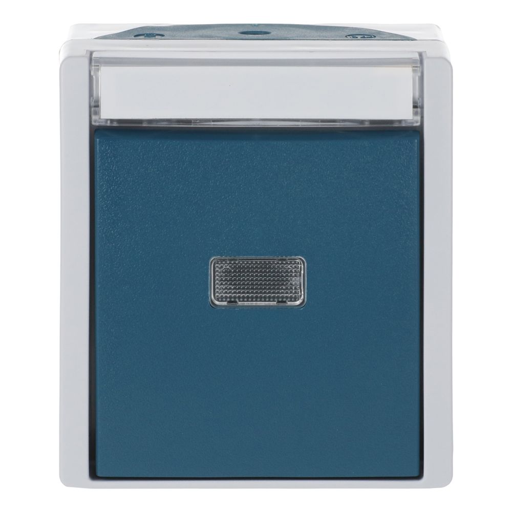 Busch Jäger Wipptaster Schließer 1pol 2621WN-53-201 grau/blaugrün mit Beschriftungs... BJ-2CKA001484A0373 4011395993491 (Abb. 1)