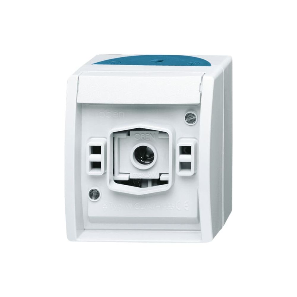 Busch Jäger Lichtsignal 2661W-53 E10 ohne Haube grau blaugrün... BJ-2CKA001582A0305 4011395992838 (Abb. 1)