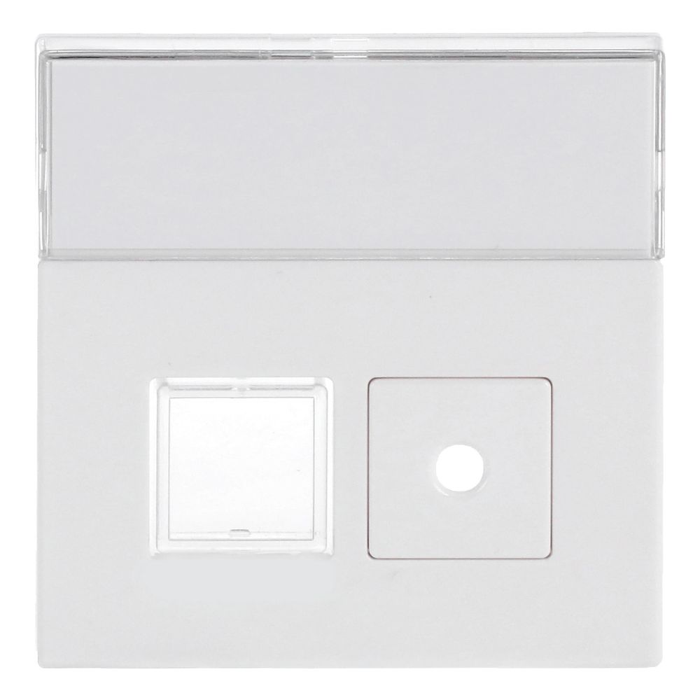Busch Jäger Abdeckung für Signaltaster 1572CN-84 Einsatz 1520/1 UKZ 2fach mit Besch... BJ-2CKA001582A0348 4011395092682 (Abb. 1)