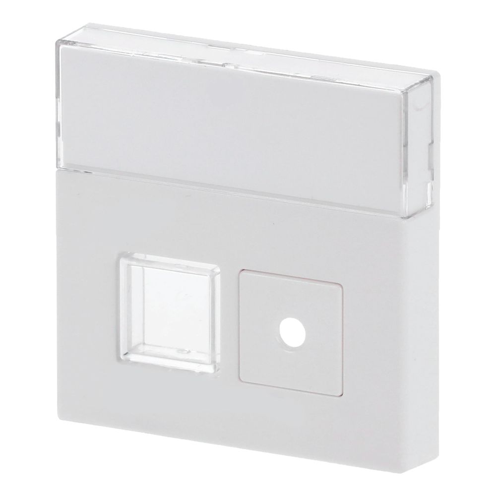 Busch Jäger Abdeckung für Signaltaster 1572CN-84 Einsatz 1520/1 UKZ 2fach mit Besch... BJ-2CKA001582A0348 4011395092682 (Abb. 2)