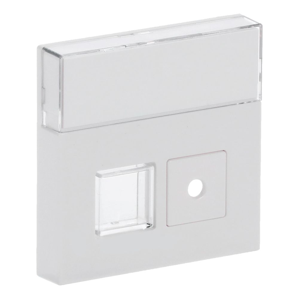 Busch Jäger Abdeckung für Signaltaster 1572CN-84 Einsatz 1520/1 UKZ 2fach mit Besch... BJ-2CKA001582A0348 4011395092682 (Abb. 3)