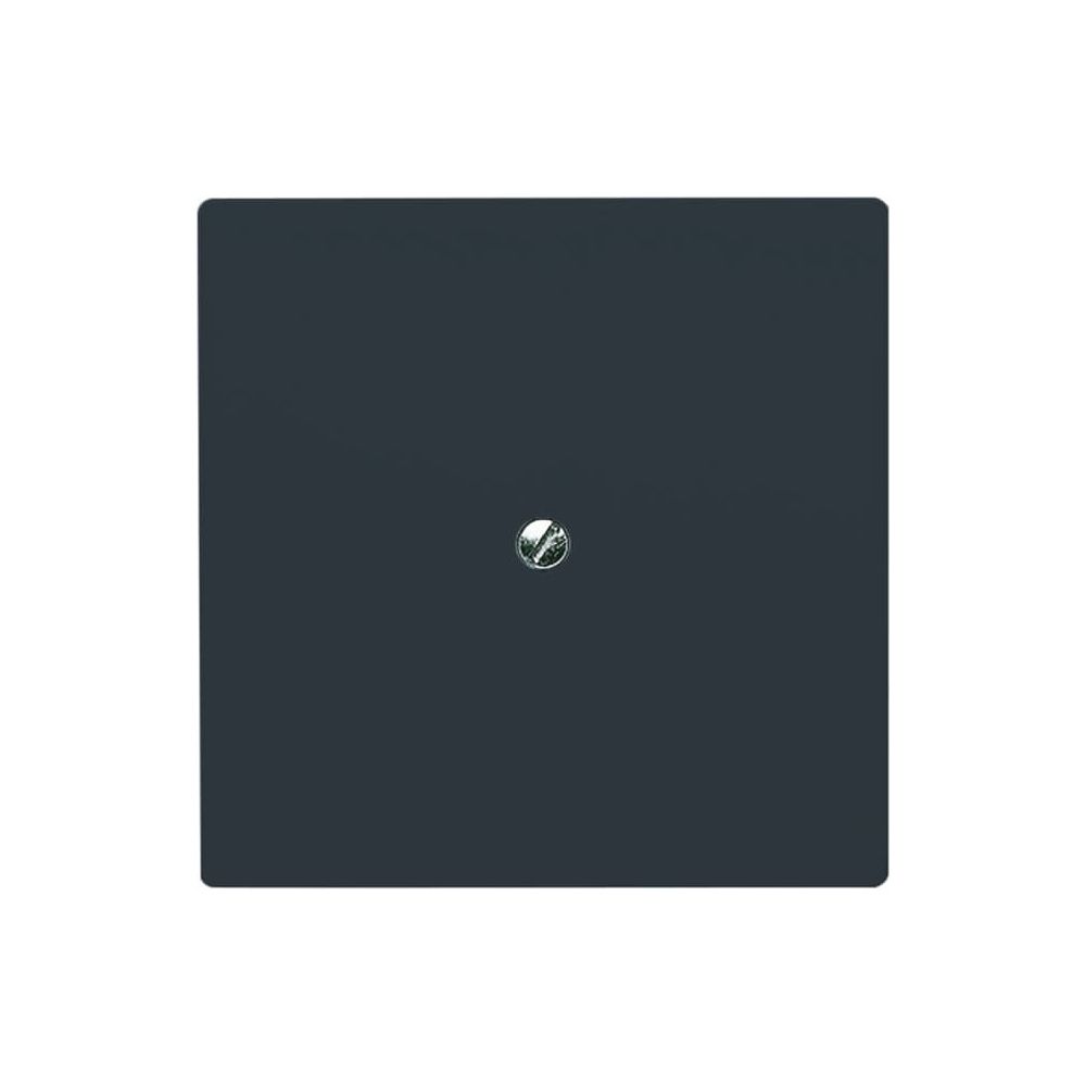 Busch Jäger UPWG Allwetter Blindabdeckung 2138-35 anthrazit mit Tragring IP44... BJ-2CKA001710A1928 4011395874707 (Abb. 1)