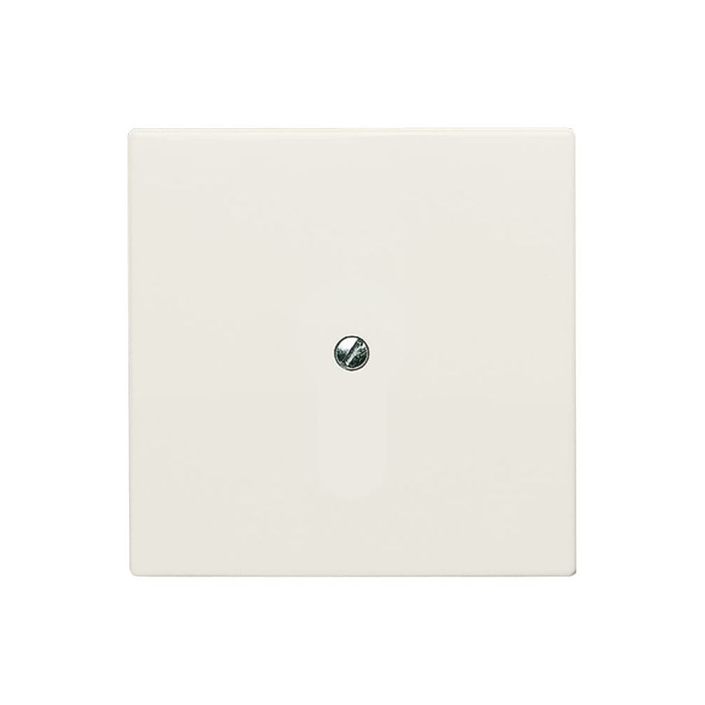 Busch Jäger UPWG Allwetter Blindabdeckung 2138-32 weiss mit Tragring IP44... BJ-2CKA001710A2264 4011395911808 (Abb. 1)