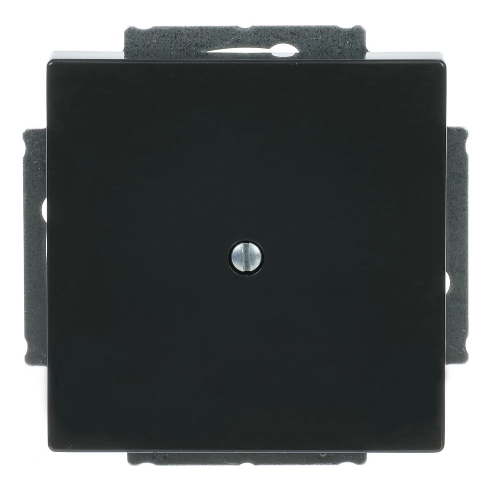 Busch Jäger carat Blindabdeckung 1742-81 anthrazit mit Tragring... BJ-2CKA001710A3612 4011395056271 (Abb. 1)