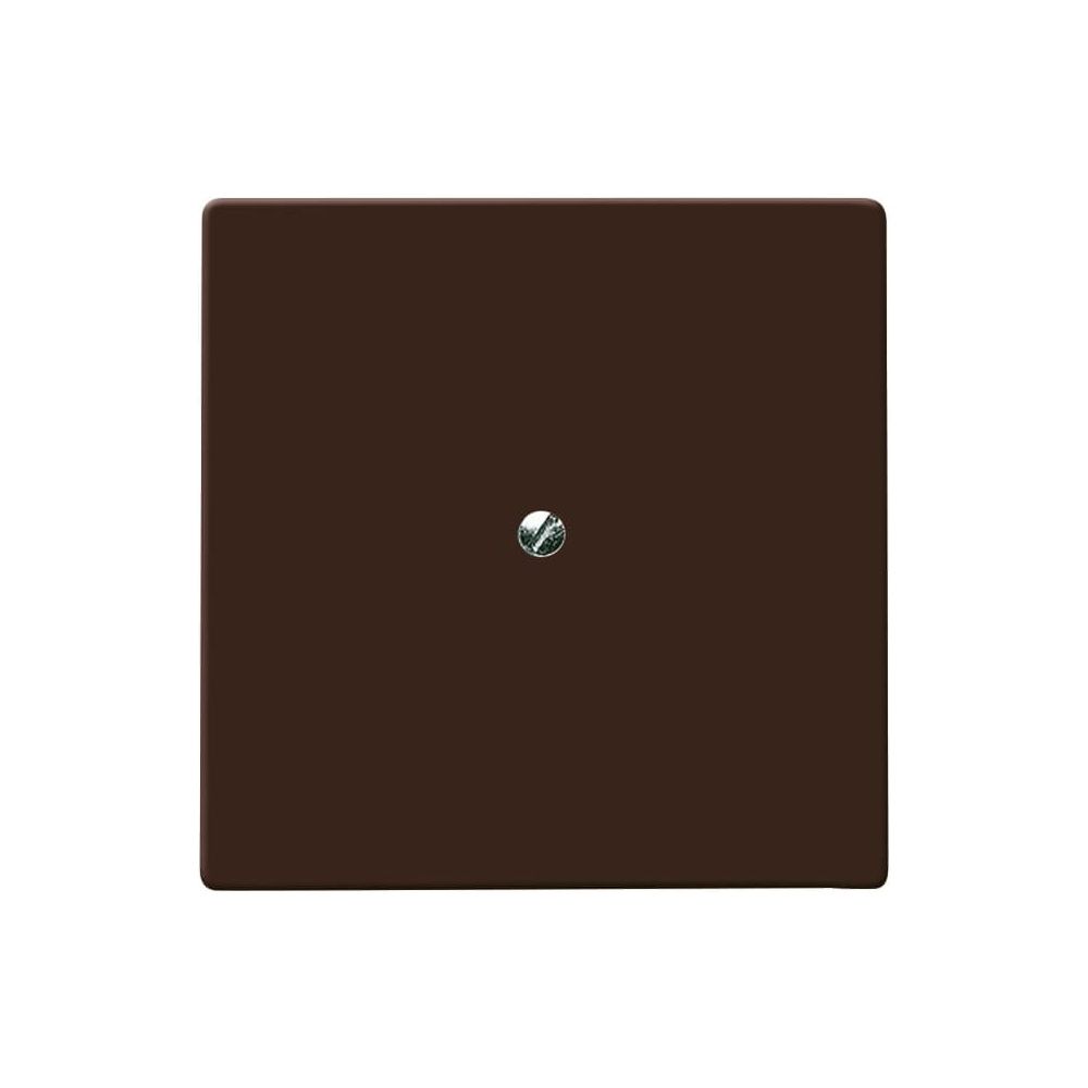 Busch Jäger UPWG Allwetter 44 Blindabdeckung 2138-31 braun... BJ-2CKA001710A3799 4011395103685 (Abb. 1)