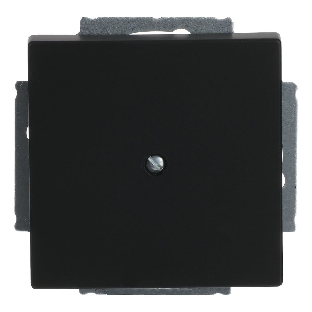 Busch Jäger future linear Blindabdeckung 1742-885 schwarz matt mit Tragring... BJ-2CKA001710A3895 4011395127179 (Abb. 1)