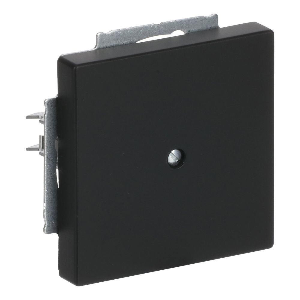 Busch Jäger future linear Blindabdeckung 1742-885 schwarz matt mit Tragring... BJ-2CKA001710A3895 4011395127179 (Abb. 3)