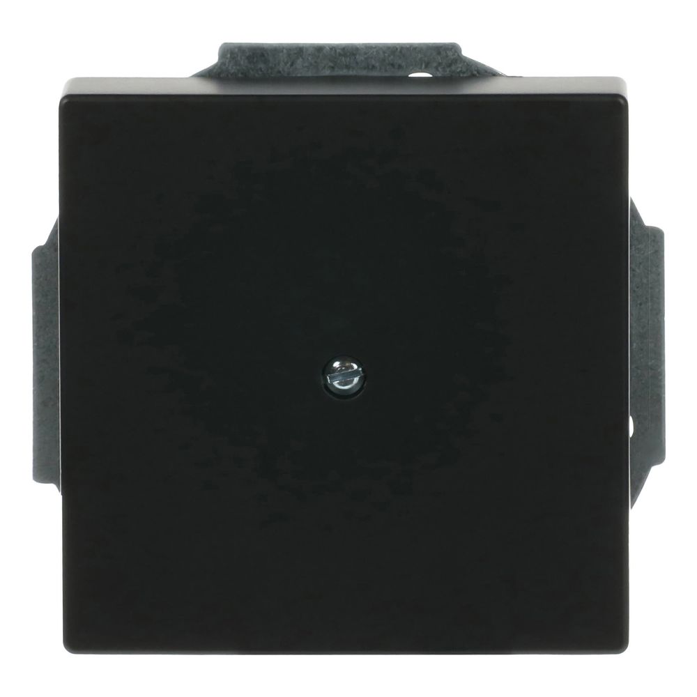 Busch Jäger Zentralscheibe 1749-885 Leitungsauslass schwarz matt mit Tragring und Z... BJ-2CKA001710A3900 4011395127230 (Abb. 1)