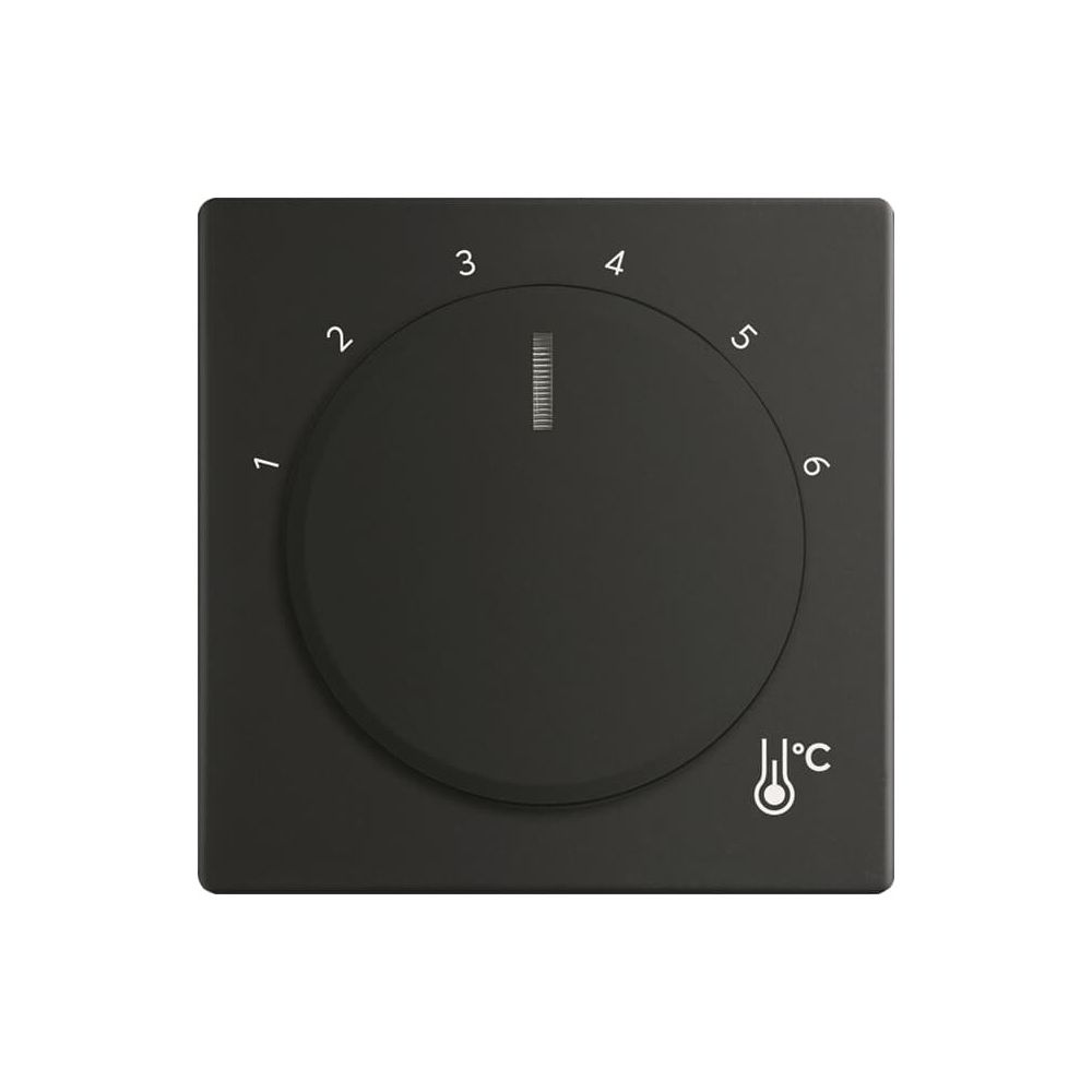 Busch Jäger Zentralscheibe Temperatur 1794 R-885 rund schwarz... BJ-2CKA001710A4205 4011395323205 (Abb. 1)