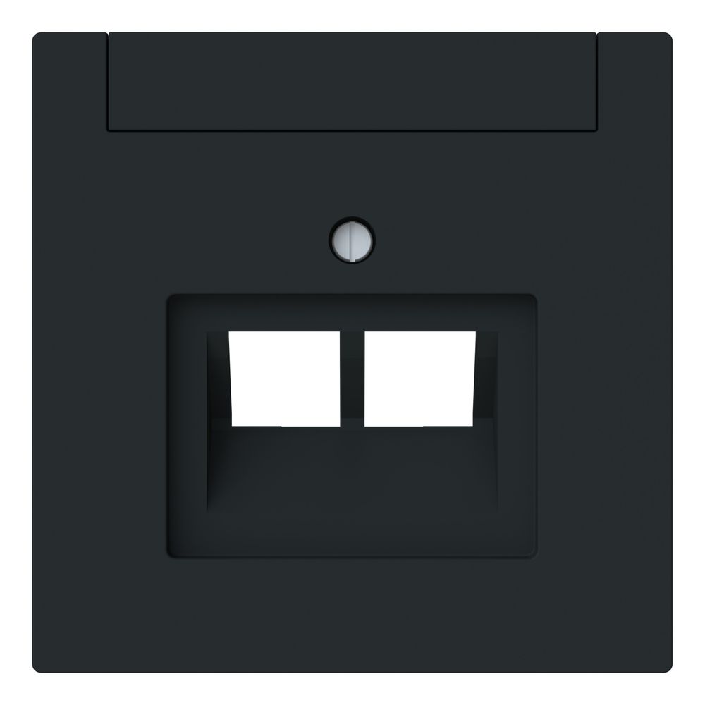 Busch Jäger Zentralscheibe 2-fach UAE 1803-02-45M mit Beschriftungsfeld schwarz mat... BJ-2CKA001710A4230 4011395328316 (Abb. 1)