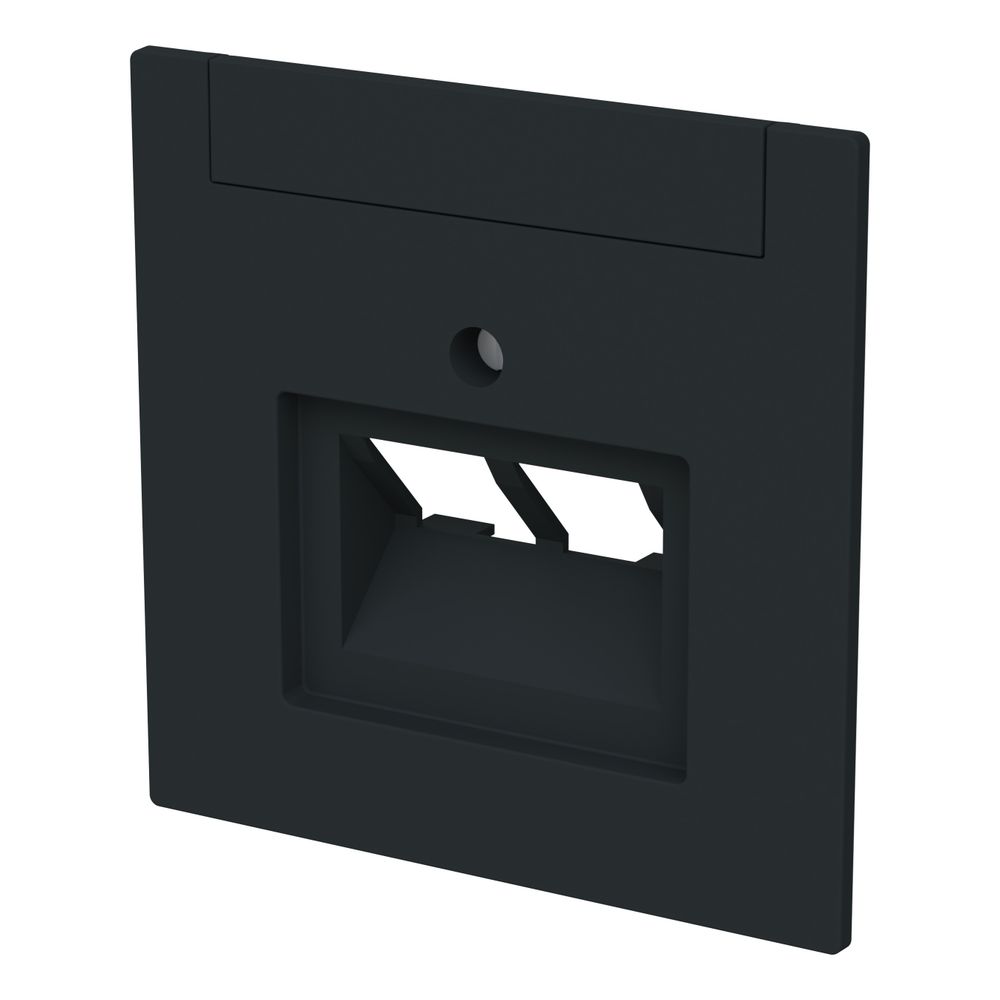 Busch Jäger Zentralscheibe 2-fach UAE 1803-02-45M mit Beschriftungsfeld schwarz mat... BJ-2CKA001710A4230 4011395328316 (Abb. 2)