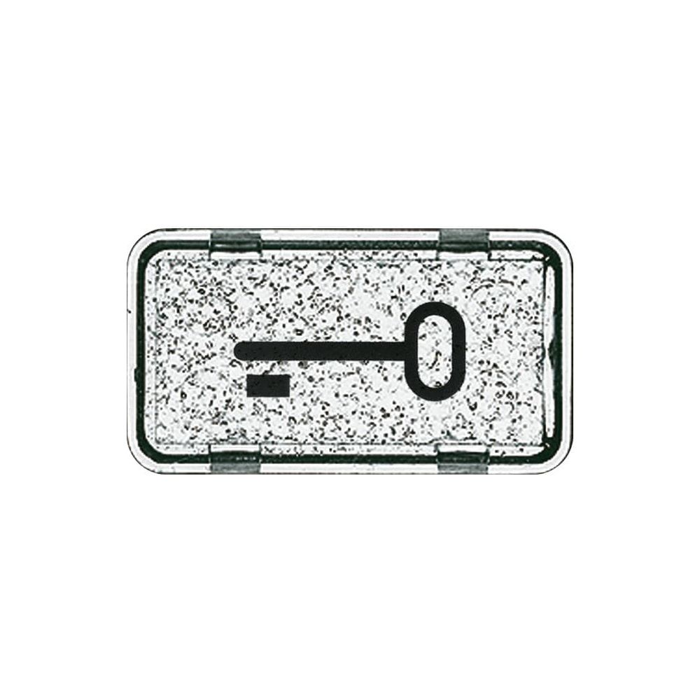 Busch Jäger APWG Symbol Schlüssel 2622TR-101 für Allwetter und ocean... BJ-2CKA001714A0286 4011395871805 (Abb. 1)