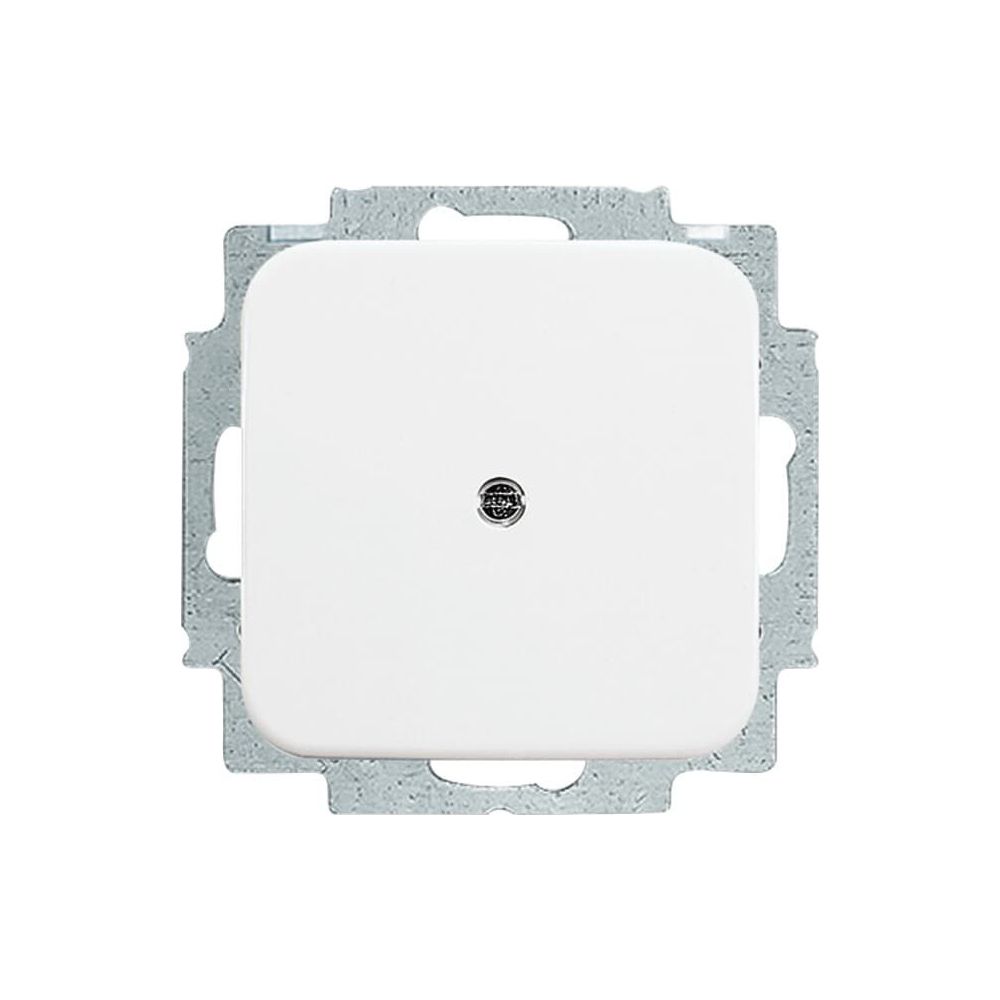 Busch Jäger Reflex SI Blindabdeckung 2538-214 alpinweiss mit Tragring... BJ-2CKA001715A0275 4011395078006 (Abb. 1)