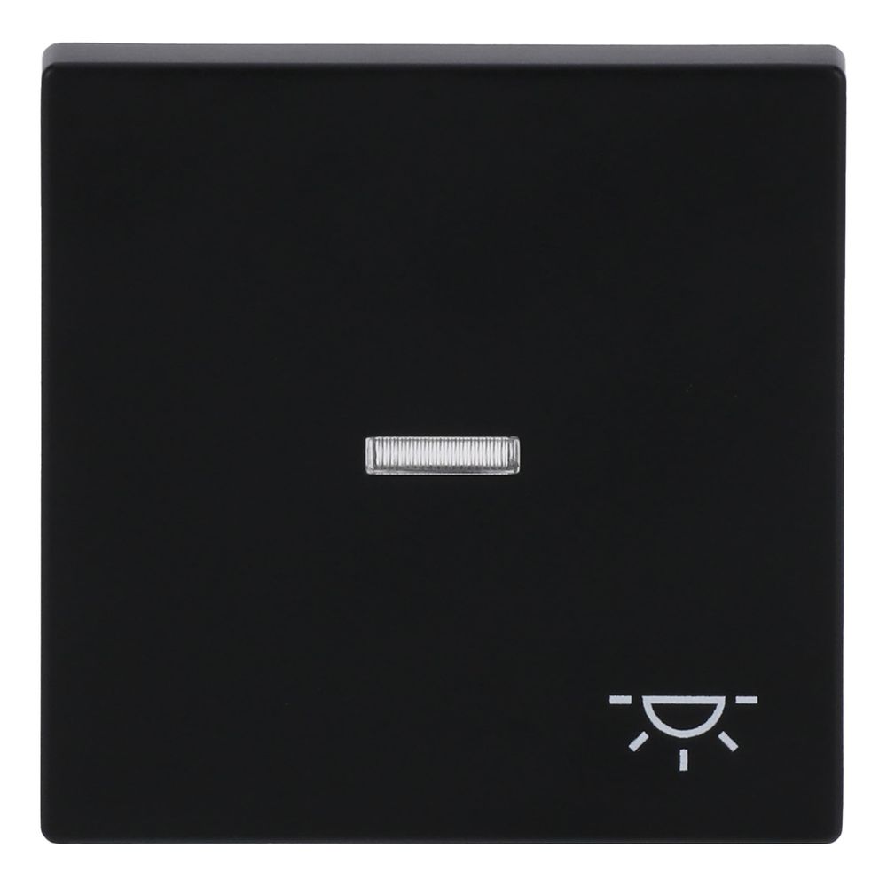 Busch Jäger Wippe für Kontrollschalter 1789 LI-885 Symbol Licht schwarz matt 1-fach... BJ-2CKA001751A3045 4011395129821 (Abb. 1)
