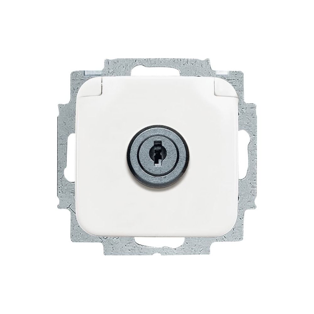 Busch Jäger Reflex SI Schuko Kombi 20EUKSL-214 Steckdosen-Einsatz Klappdeckel absch... BJ-2CKA002018A1289 4011395863404 (Abb. 1)