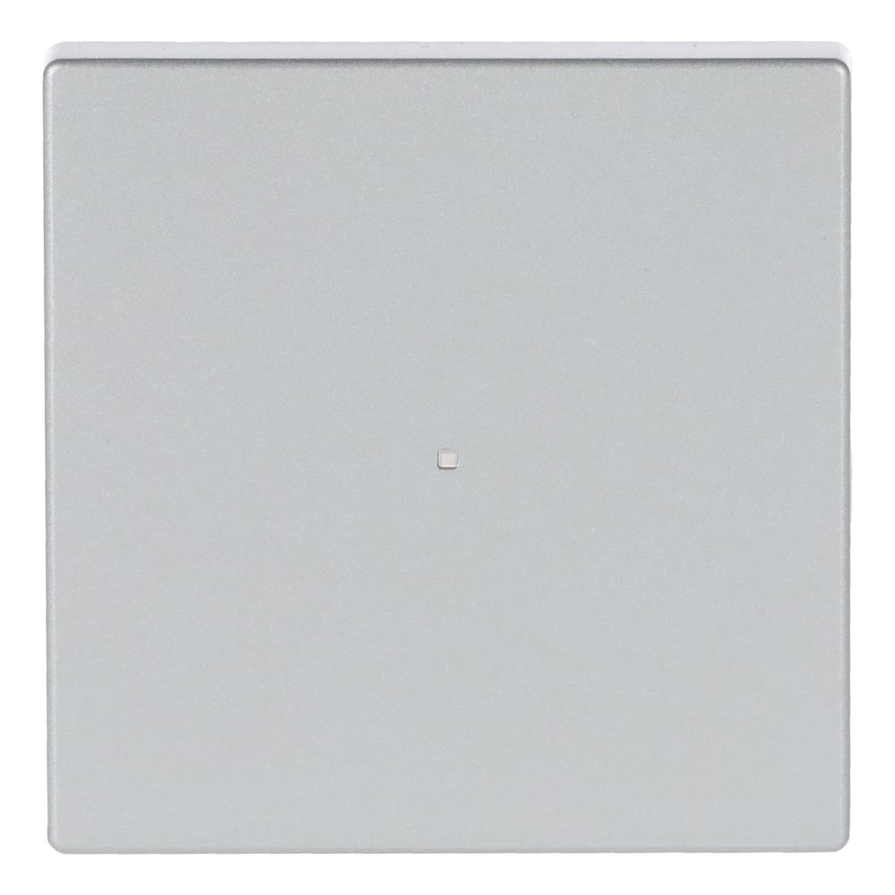 Busch Jäger Wippe 1fach 6230-10-83 alusilber... BJ-2CKA006220A0033 4011395181997 (Abb. 1)